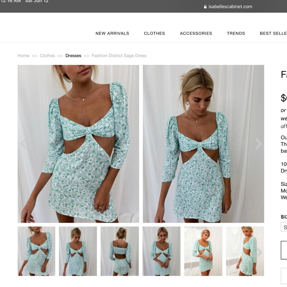 Isabelle's Cabinet Sage Dress SZ S